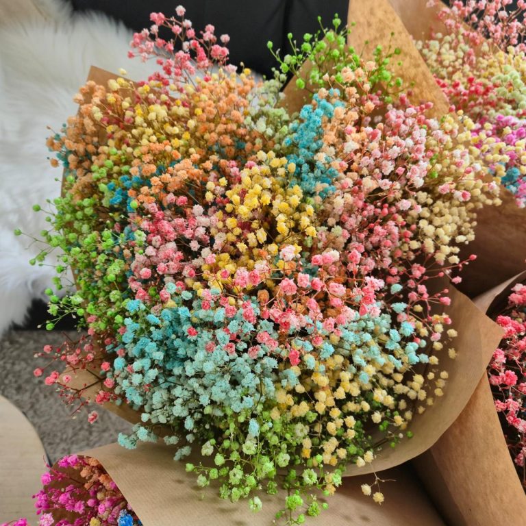 Gipsówka stabilizowana wiecznie żywa mix kolorów duży bukiet