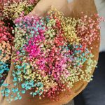 Gipsówka stabilizowana wiecznie żywa mix kolorów duży bukiet