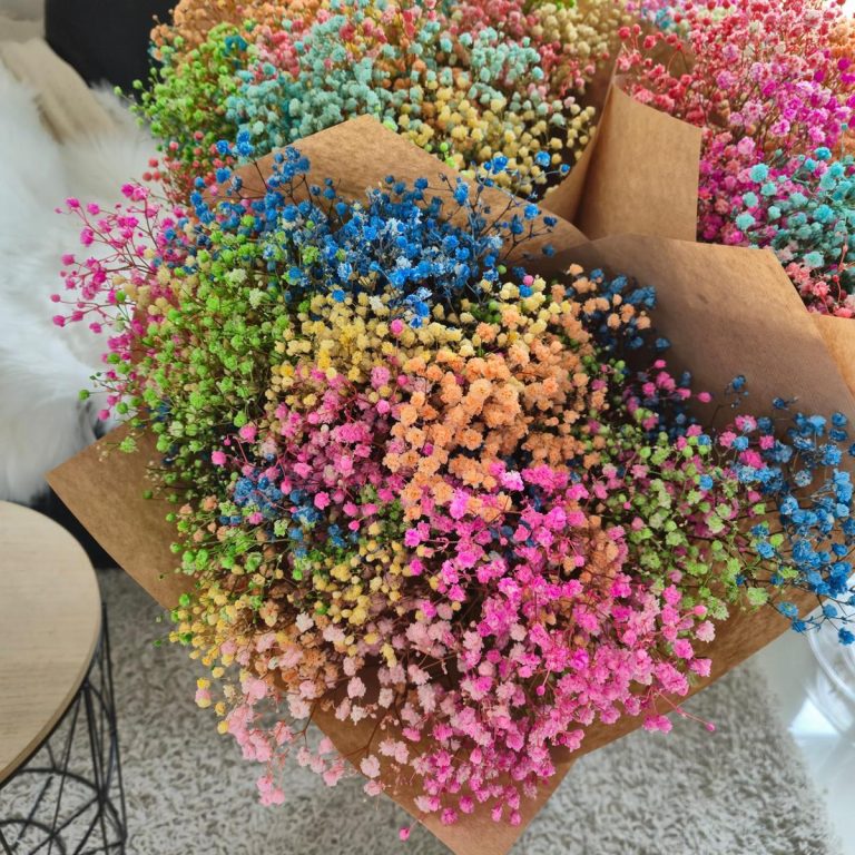 Gipsówka stabilizowana wiecznie żywa mix kolorów duży bukiet
