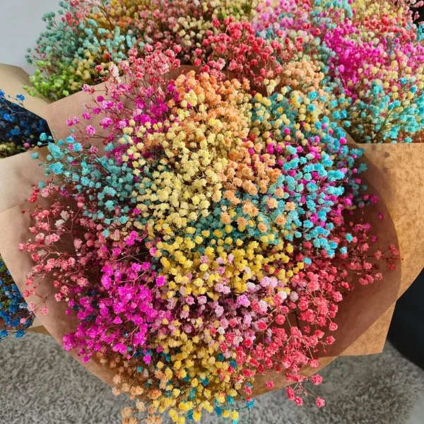 Gipsówka stabilizowana wiecznie żywa kolorowa duży bukiet