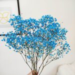 Gipsówka stabilizowana wiecznie żywa niebieska ciemna mały bukiet
