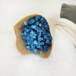 Gipsówka stabilizowana wiecznie żywa niebieska ciemna mały bukiet