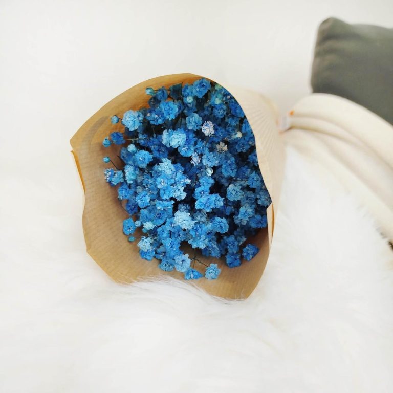 Gipsówka stabilizowana wiecznie żywa niebieska ciemna mały bukiet