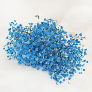 Gipsówka stabilizowana wiecznie żywa niebieska ciemna mały bukiet