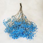 Gipsówka stabilizowana wiecznie żywa niebieska ciemna mały bukiet