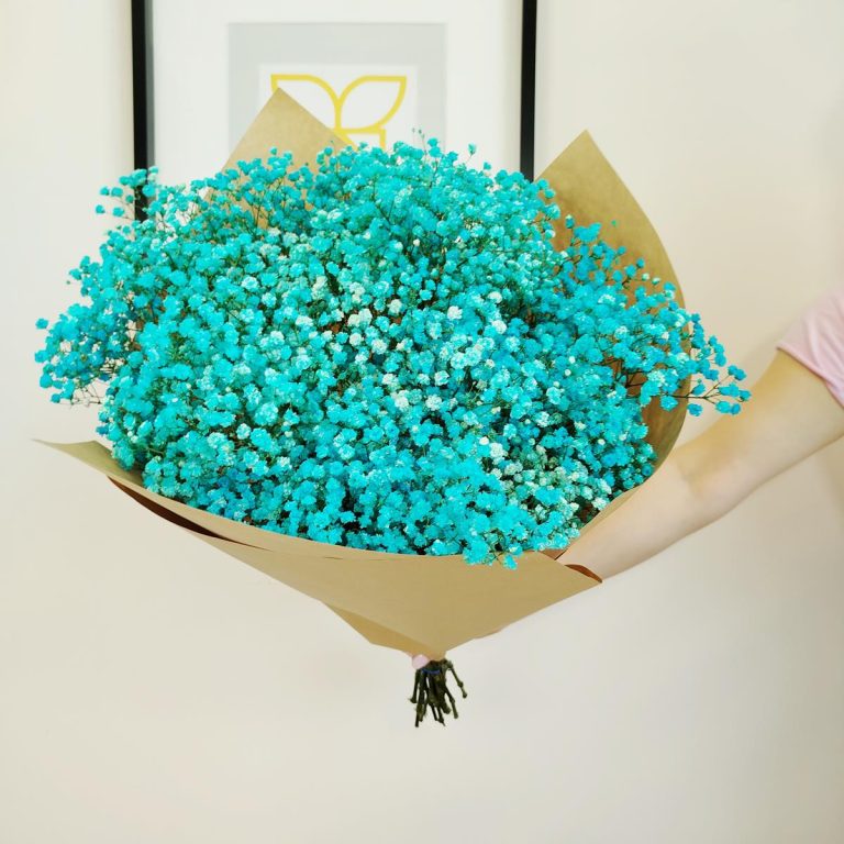 Gipsówka stabilizowana wiecznie żywa niebieska duży bukiet