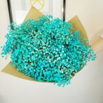 Gipsówka stabilizowana wiecznie żywa niebieska duży bukiet