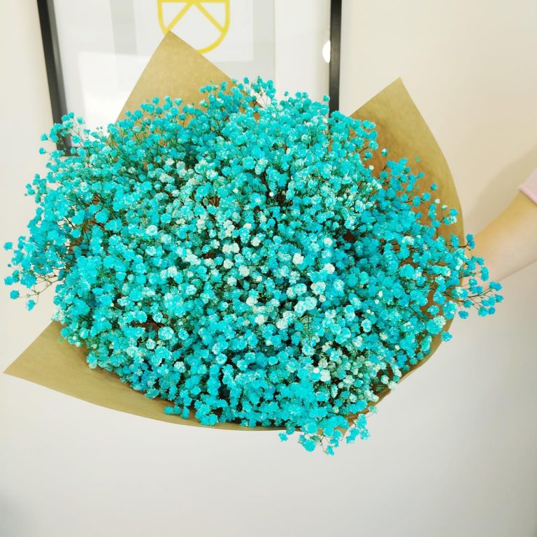 Gipsówka stabilizowana wiecznie żywa niebieska duży bukiet