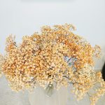 Gipsówka stabilizowana wiecznie żywa pomarańczowa duży bukiet