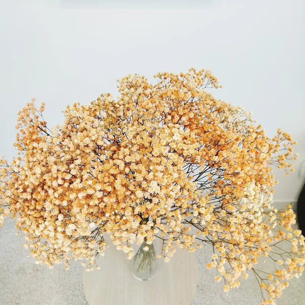 Gipsówka stabilizowana wiecznie żywa pomarańczowa duży bukiet