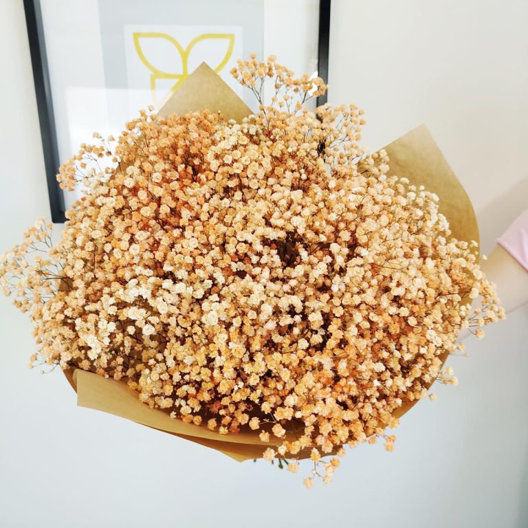 Gipsówka stabilizowana wiecznie żywa pomarańczowa duży bukiet