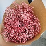 Gipsówka stabilizowana wiecznie żywa różowa duży bukiet