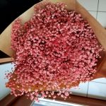 Gipsówka stabilizowana wiecznie żywa różowa duży bukiet