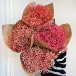 Gipsówka stabilizowana wiecznie żywa różowa duży bukiet