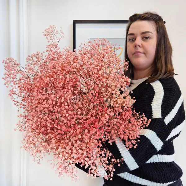 Gipsówka stabilizowana wiecznie żywa różowa duży bukiet