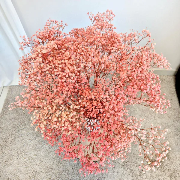 Gipsówka stabilizowana wiecznie żywa różowa duży bukiet