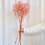 Gipsówka stabilizowana wiecznie żywa różowa mały bukiet