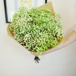 Gipsówka stabilizowana wiecznie żywa zielona duży bukiet