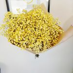 Gipsówka stabilizowana wiecznie żywa żółta duży bukiet