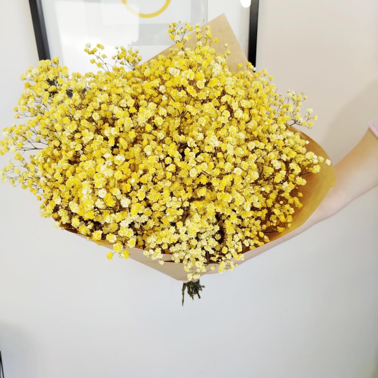Gipsówka stabilizowana wiecznie żywa żółta duży bukiet