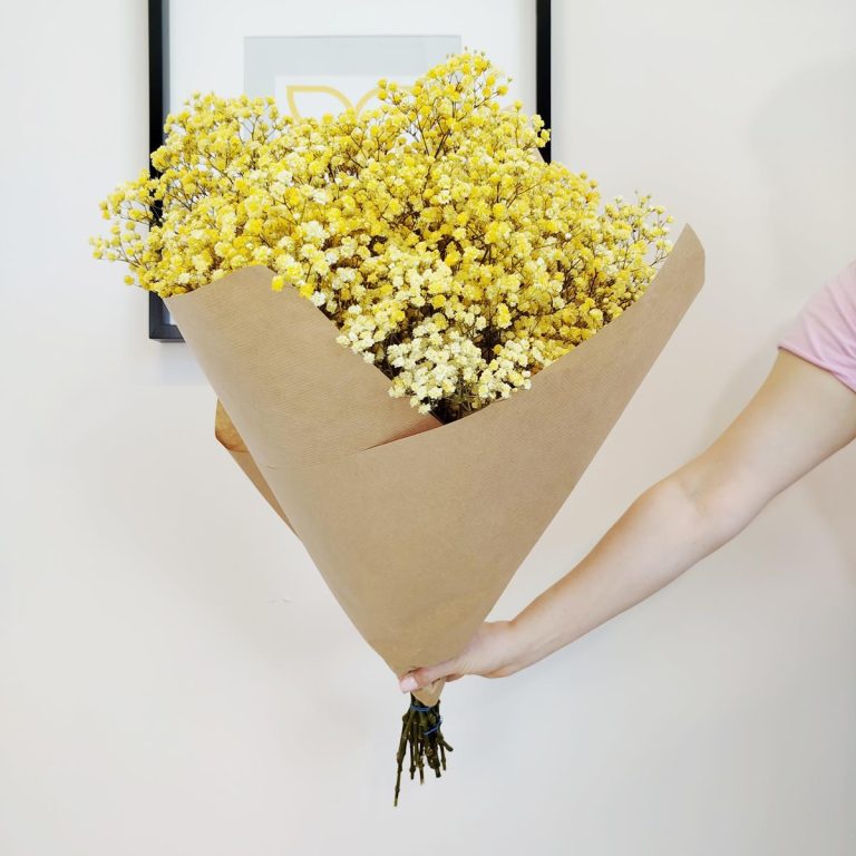 Gipsówka stabilizowana wiecznie żywa żółta duży bukiet