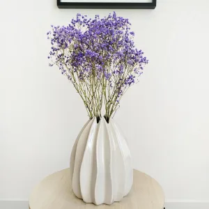 Gipsówka suszona fioletowa