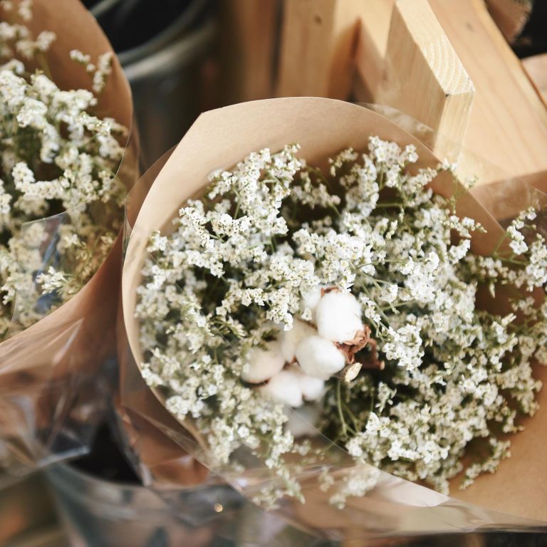 Gipsówka żywa gotowy bukiet Biały duży