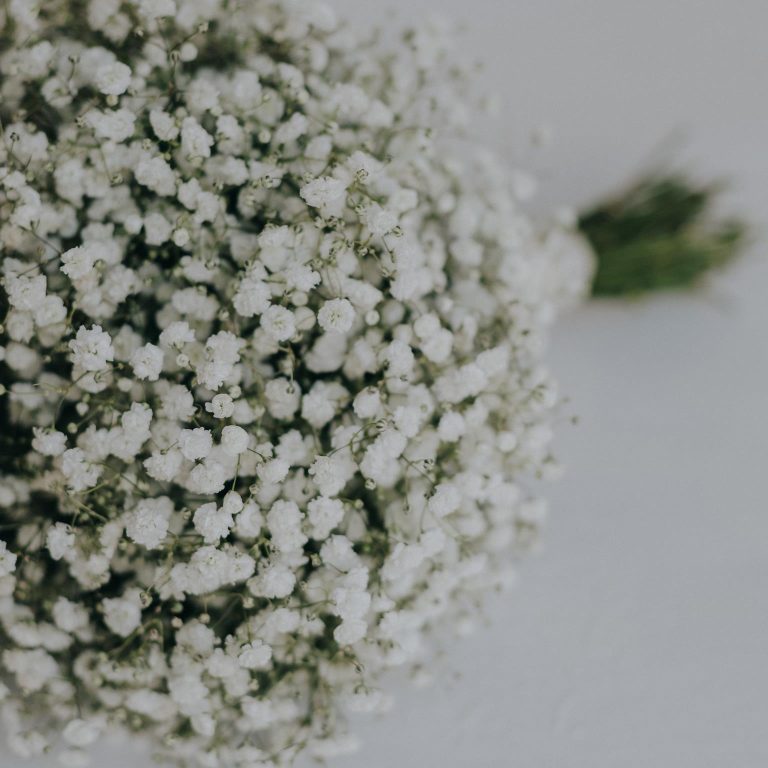 Gipsówka żywa gotowy bukiet Biały duży