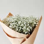 Gipsówka żywa gotowy bukiet Biały duży