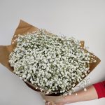 Gipsówka żywa gotowy bukiet Biały duży