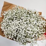 Gipsówka żywa gotowy bukiet Biały duży