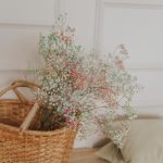 Gipsówka suszona biała