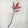 Ostrokrzew czerwony – Ilex żywa gałązka (Ilex Ve Rode Bes) 60cm 1szt.