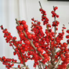 Ostrokrzew czerwony – Ilex żywa gałązka (Ilex Ve Rode Bes) 60cm 1szt.