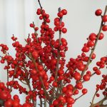 Ostrokrzew czerwony - Ilex żywa gałązka (Ilex Ve Rode Bes) 60cm 1szt.