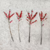 Ostrokrzew czerwony – Ilex żywa gałązka (Ilex Ve Rode Bes) 60cm 1szt.