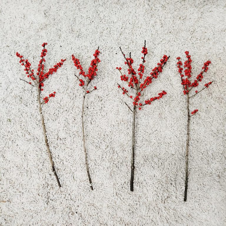 Ostrokrzew czerwony - Ilex żywa gałązka (Ilex Ve Rode Bes) 60cm 1szt.