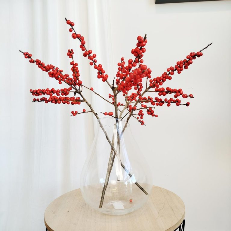 Ostrokrzew czerwony - Ilex żywa gałązka (Ilex Ve Rode Bes) 60cm 1szt.