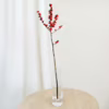 Ostrokrzew czerwony – Ilex żywa gałązka (Ilex Ve Rode Bes) 60cm 1szt.