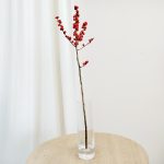 Ostrokrzew czerwony - Ilex żywa gałązka (Ilex Ve Rode Bes) 60cm 1szt.