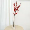 Ostrokrzew czerwony – Ilex żywa gałązka (Ilex Ve Rode Bes) 60cm 1szt.