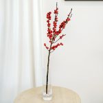 Ostrokrzew czerwony - Ilex żywa gałązka (Ilex Ve Rode Bes) 60cm 1szt.