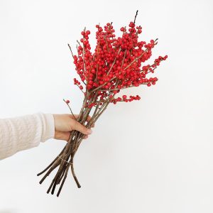 Ostrokrzew czerwony - Ilex żywa gałązka (Ilex Ve Rode Bes) 60cm 1szt.