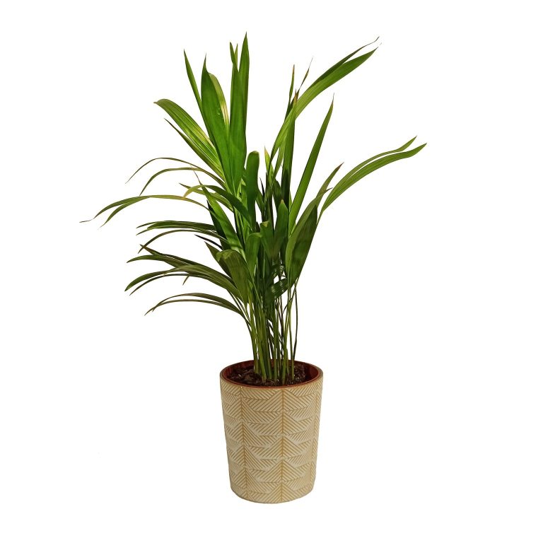 Ceramiczna osłonka wzorzysta ecri 12,5cm