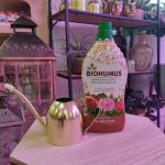 Biohumus nawóz do pelargonii 1L