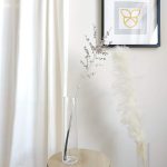 Ostrokrzew szampański - Ilex żywa gałązka (Ilex Klb Champagne) 1szt.