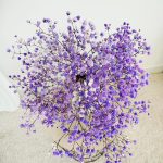 Gipsówka stabilizowana wiecznie żywa fioletowa mały bukiet