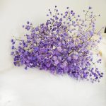 Gipsówka stabilizowana wiecznie żywa fioletowa mały bukiet