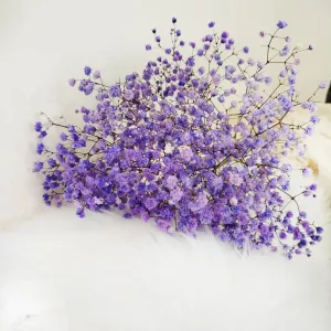 Gipsówka stabilizowana wiecznie żywa fioletowa mały bukiet