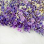 Gipsówka stabilizowana wiecznie żywa fioletowa mały bukiet